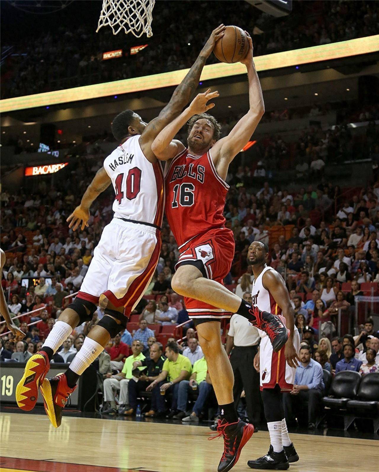 家队是否意 家队是否意