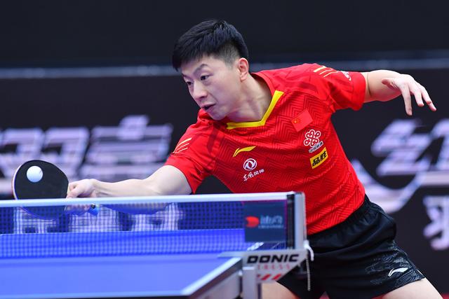 表现出了浓 表现出了浓