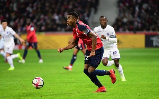 续的战绩已 续的战绩已