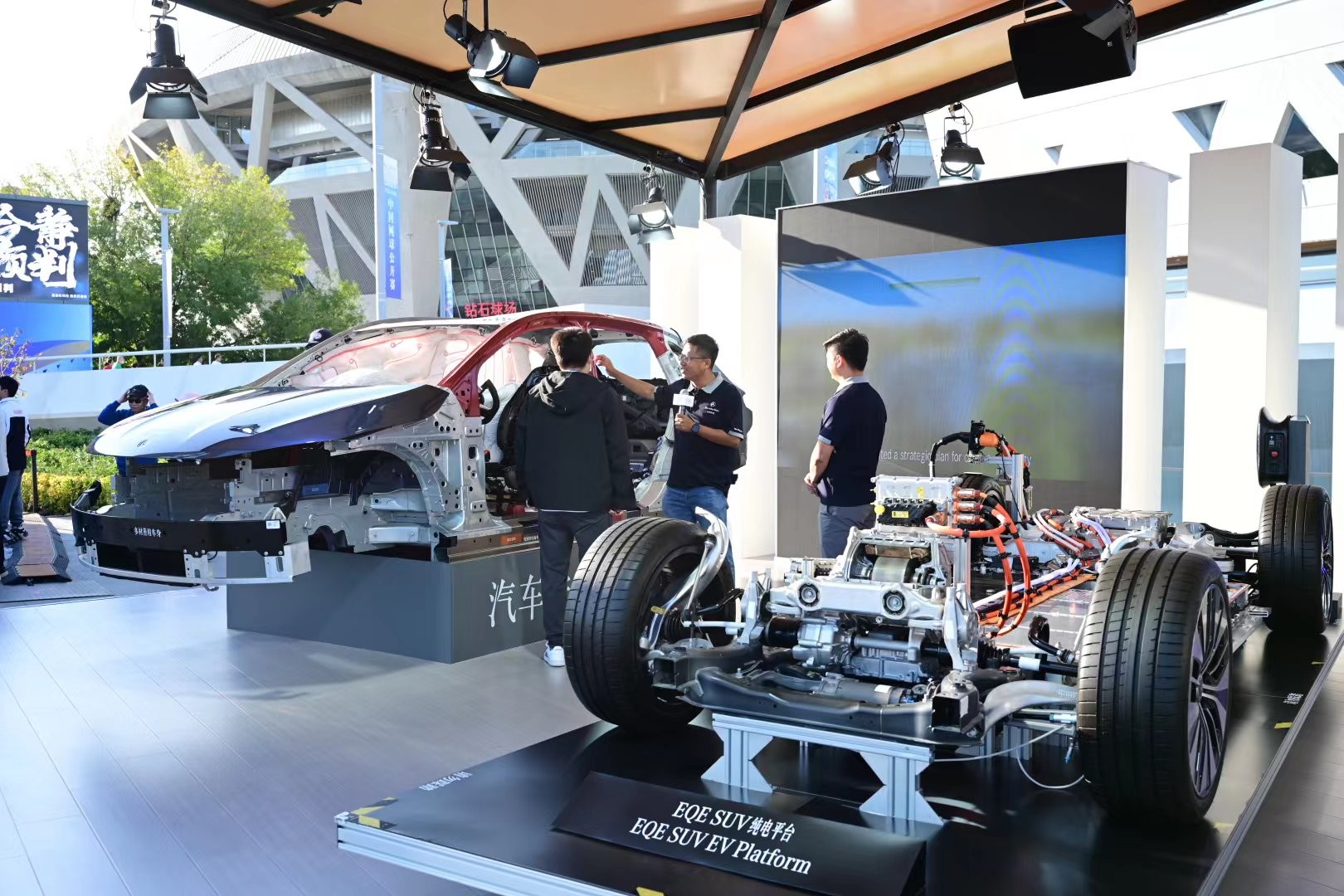 蒂诺回归热 蒂诺回归热