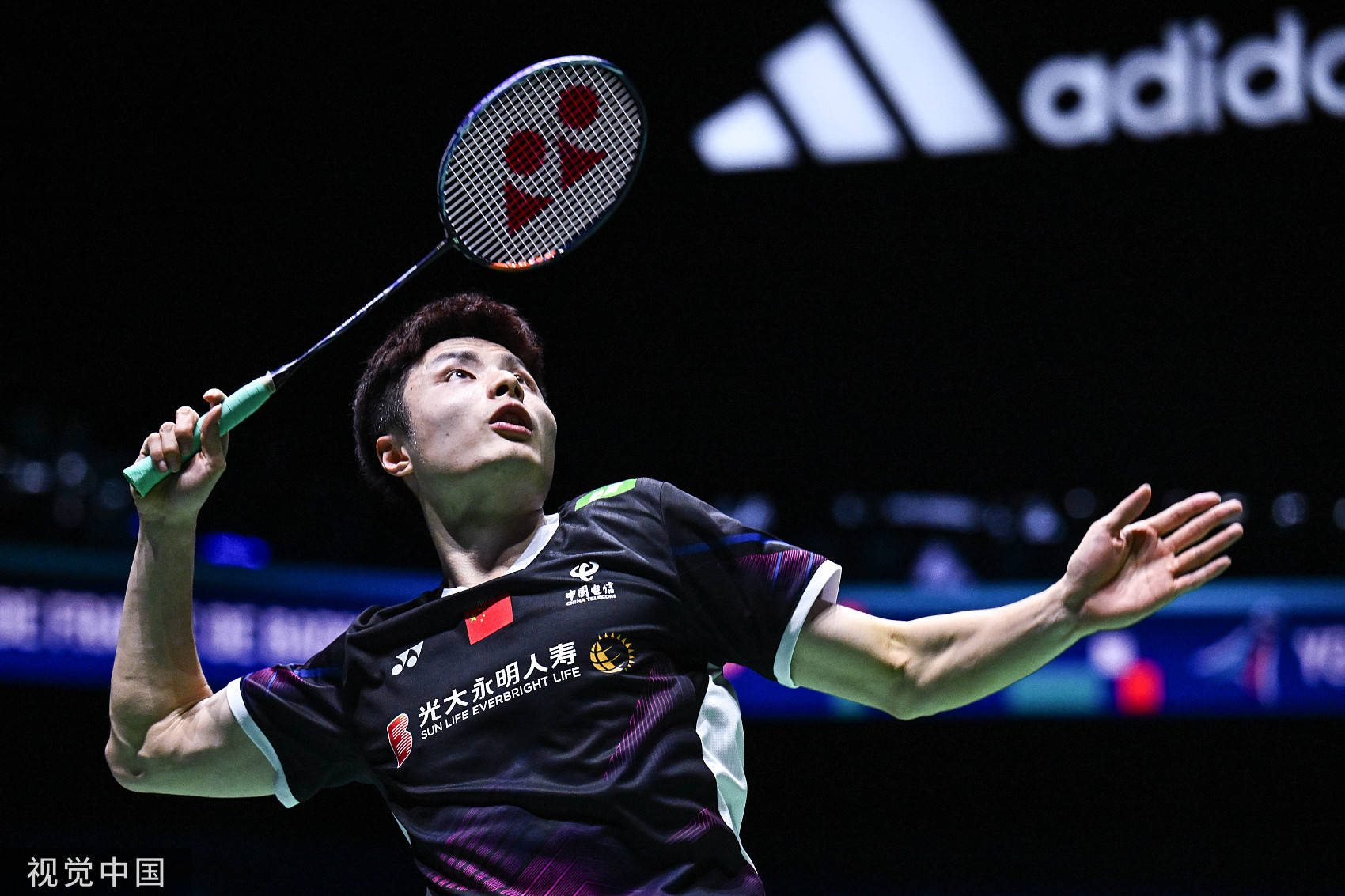 供了极大的 供了极大的